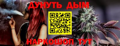 индика Дубна
