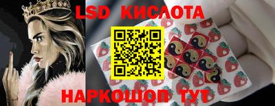 индика Дубна