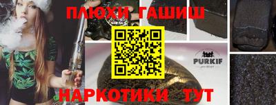 индика Дубна